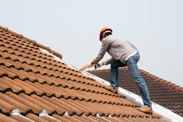 Best Sheet Metal Roofing  in Tukwila, WA